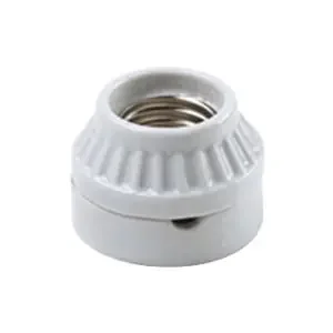 Place Order Pass & Seymour 9880 Medium Base Keyless Incandescent Lampholder 250-Volt AC White